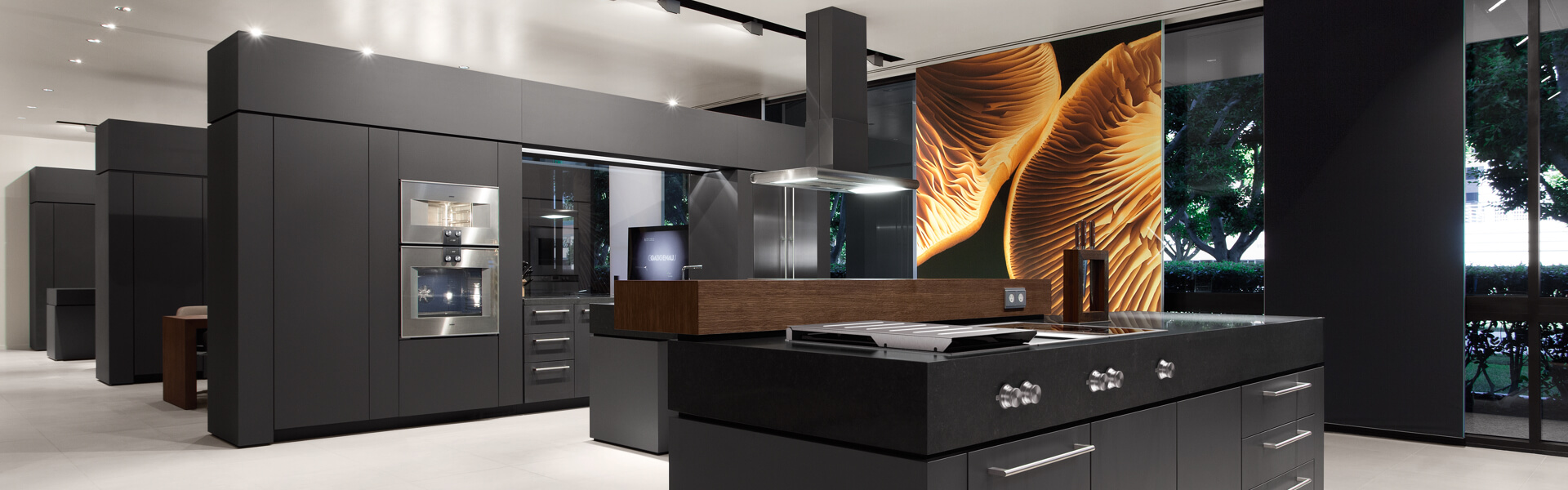 Gaggenau culinary demonstration